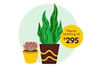 The Plant Store