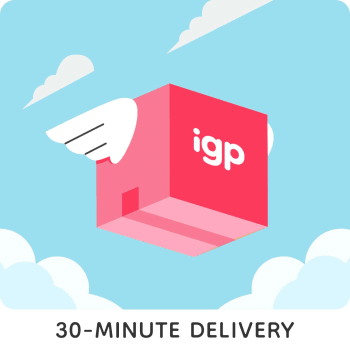 giftspark